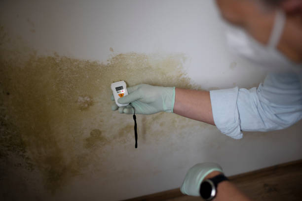 Best Water Damage Restoration  in Mount Hermon, CA