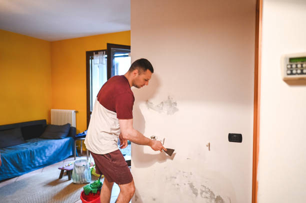 Best Toxic Mold Removal  in Mount Hermon, CA