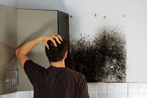 Best Commercial Mold Removal  in Mount Hermon, CA
